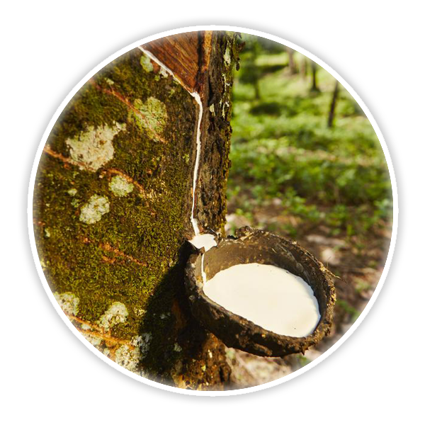 100% natural rubber Abrasive Cleaning Sticks Clean Belts, Discs, Grip Tape